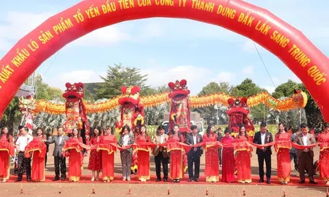 Lần đầu tiên tổ yến Đắk Lắk xuất khẩu chính ngạch Trung Quốc