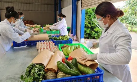 Đón sóng xuất khẩu thị trường tỷ dân, doanh nghiệp tăng tốc đăng ký mã số