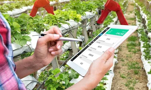 Sức hút của nông nghiệp thông minh trong hành trình khởi nghiệp nghề nông