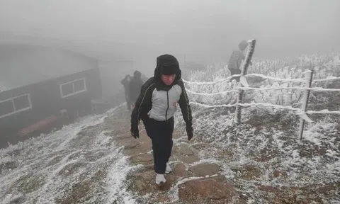 Thủ tướng ra công điện yêu cầu chủ động phòng chống rét đậm, rét hại kéo dài