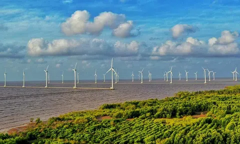'Gỡ khó' dự án điện khí, điện gió ngoài khơi bằng cơ chế, chính sách mới