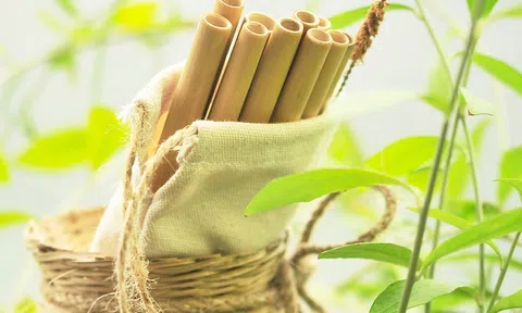 Tiêu dùng xanh giúp sản phẩm xanh và sạch lên ngôi