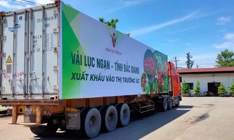 Logistics Việt Nam hướng tới chiến lược logistics xanh và bền vững