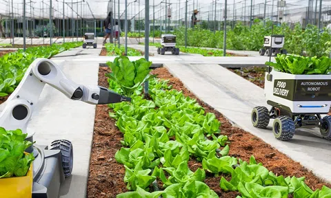 Việt Nam và lộ trình hiện thực hóa nông nghiệp xanh từ nỗ lực chuyển đổi số