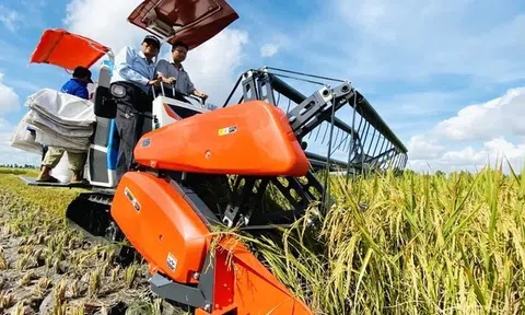 Sản xuất lúa gạo chất lượng cao và giảm phát thải cần sự vào cuộc của doanh nghiệp và đối tác quốc tế