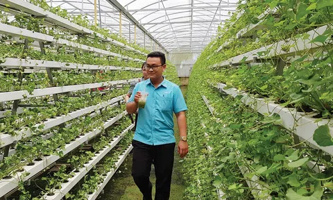 Động lực nào giúp kinh tế Việt Nam bứt tốc trong năm 2024?