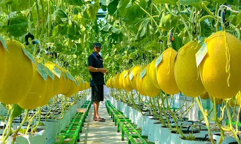 Doanh nghiệp với chuyển đổi xanh và đổi mới sáng tạo trong ngành nông nghiệp