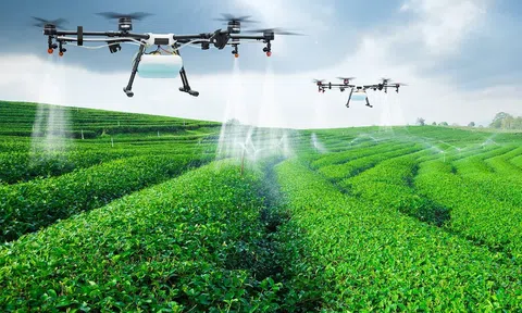 Vị thế "cường quốc" nông nghiệp đang tạo sức hút doanh nghiệp đầu tư vào Việt Nam