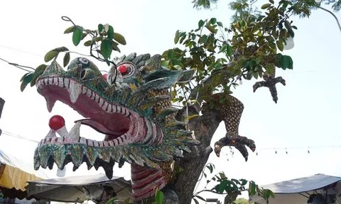 Kỳ hoa dị thảo tại hội chợ xuân độc lạ cỡ nào mà có giá hàng tỷ đồng?