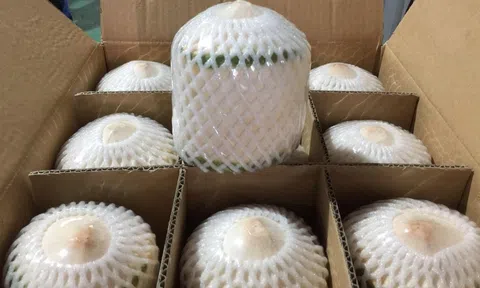 Tổng cục Hải quan Trung Quốc cảnh báo sản phẩm nước dừa đông lạnh xuất khẩu