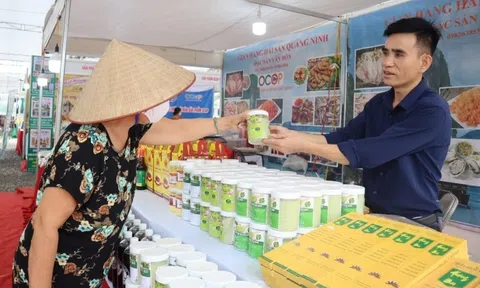 Flagship Store - Gian hàng địa phương trên các sàn Thương mại Điện tử