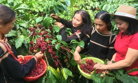 Tây Nguyên bứt tốc phát triển xanh bền vững từ tầm nhìn quy hoạch toàn diện