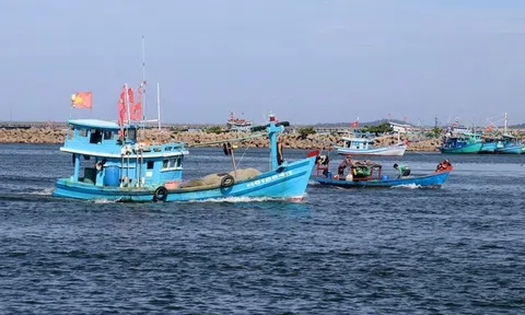 Tăng cường kiểm tra và xử lý nghiêm các vụ đánh bắt thủy sản vi phạm khai thác IUU