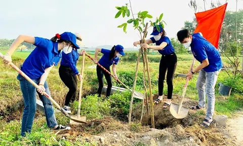 Tết trồng cây xuân Giáp Thìn nhằm khẳng định ý nghĩa của việc trồng cây, gây rừng