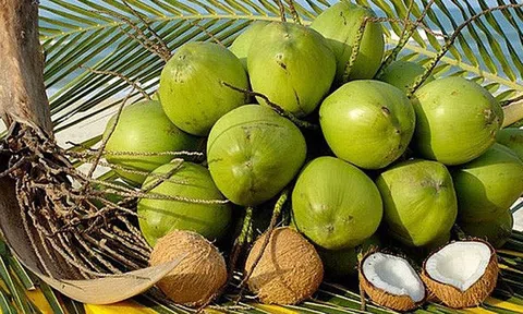 Hội đàm Việt Nam - Trung Quốc, nhất trí mở rộng nhập khẩu nông sản chất lượng cao của Việt Nam