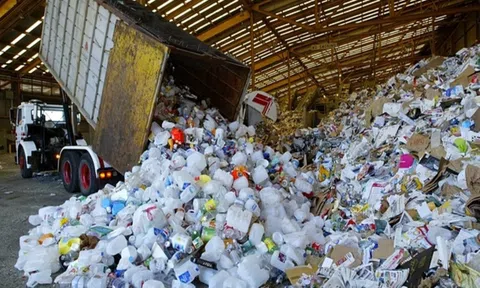 Năm 2024 nhiều chuyển động hướng tới sản xuất xanh và bền vững