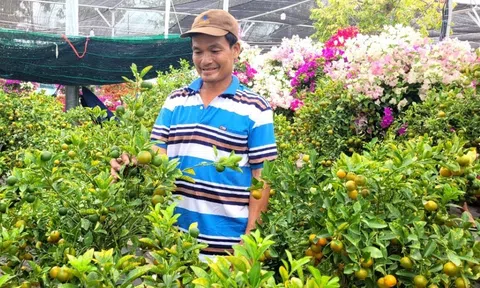 Thị trường Tết: Hoa, trái cây mâm ngũ quả vẫn ngóng chờ khách mua