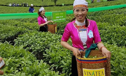 Kỳ tích trong nông nghiệp dấu ấn tăng trưởng xanh