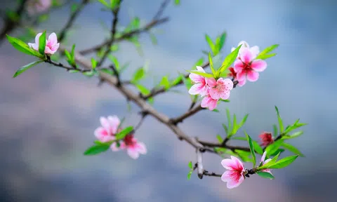 Một chút với mùa xuân