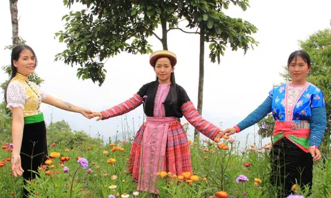 Nông dân tìm ra "mỏ vàng Xanh" nhờ thu hút khách ngắm cây, ăn trái