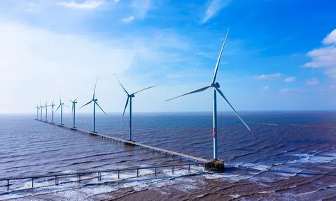 Việt Nam trên lộ trình chuyển đổi năng lượng công bằng cam kết trách nhiệm vì môi trường xanh