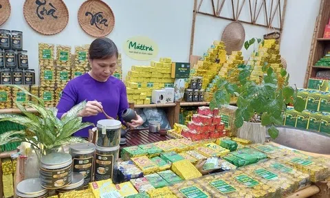 Thái Nguyên nâng chất OCOP vùng đặc biệt khó khăn