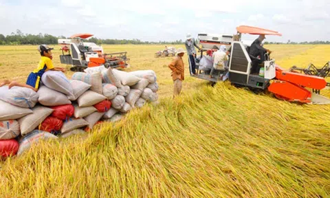 Việt Nam tham gia giảm tác động biến đổi khí hậu và mất an ninh lương thực