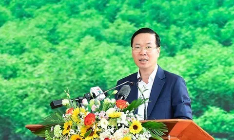 Chủ tịch nước Võ Văn Thưởng phát động Tết trồng cây 'Đời đời nhớ ơn Bác Hồ' Xuân Giáp Thìn 2024