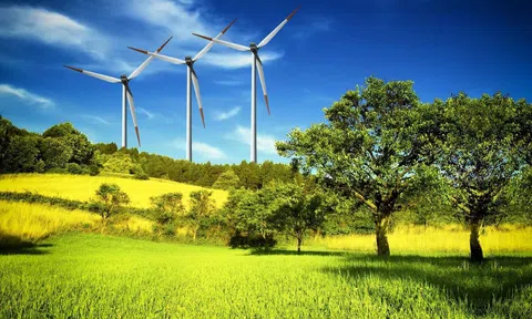 Việt Nam nỗ lực chuyển đổi gia tăng vị thế trong các chuỗi giá trị xanh toàn cầu