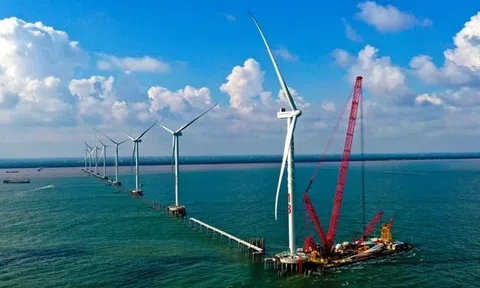 Giải pháp nào để Việt Nam huy động hàng trăm tỷ USD thực hiện đưa phát thải ròng về '0'?