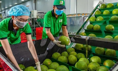 Nhận diện những thị trường xuất khẩu lớn của Việt Nam trong năm 2024