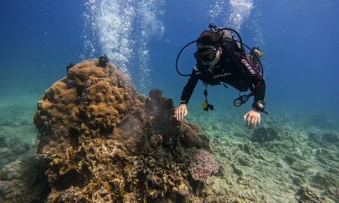 Thúc đẩy Chương trình quốc gia bảo vệ và phát triển nguồn lợi thủy sản đến năm 2030