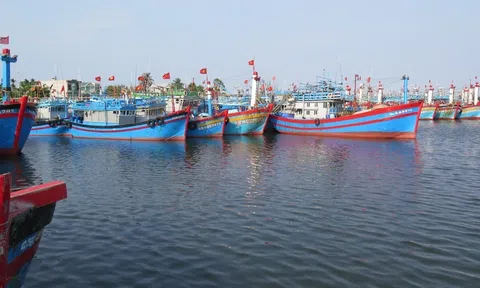 Đẩy mạnh ứng dụng công nghệ truy xuất nguồn gốc thủy sản điện tử, cấp bách gỡ 'thẻ vàng'