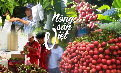 Tăng cường hợp tác rộng đường cho nông sản Việt chinh phục thị trường châu Âu