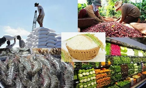 Nâng cao hiệu quả công tác ngoại giao kinh tế 2024 vì sự phát triển đất nước