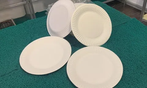 Hoa Kỳ điều tra chống bán phá giá đĩa giấy, doanh nghiệp Việt Nam khẩn trương phối hợp