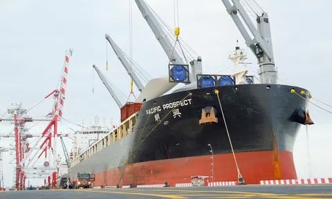 Doanh nghiệp xuất khẩu gặp khó khi hãng tàu nước ngoài đồng loạt tăng phí