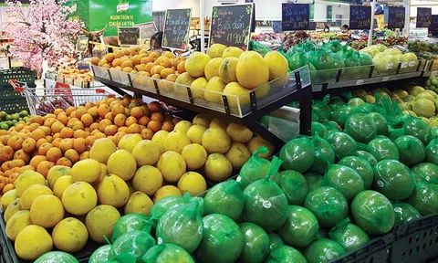 Bất ngờ khi xuất khẩu rau quả giảm mạnh trong tháng 2 có tác động tới mục tiêu 2024?