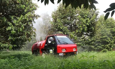 Nâng tầm trái sầu riêng nhờ canh tác công nghệ và chế biến sâu