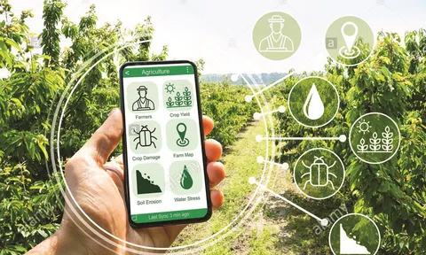 Ngành nông nghiệp nỗ lực cắt giảm thủ tục hành chính tạo thuận lợi trong sản xuất, kinh doanh