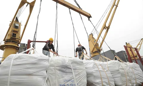 Xuất khẩu gạo, khai mở thị trường nhưng cần giữ vững thị trường truyền thống