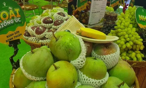 Nông sản xuất siêu 2 tháng đầu năm mở ra dư địa tăng trưởng trong năm 2024