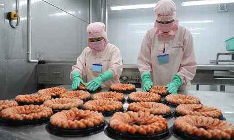 Xuất khẩu tôm để vượt ngưỡng cần đột phá chế biến sâu tăng sức cạnh tranh
