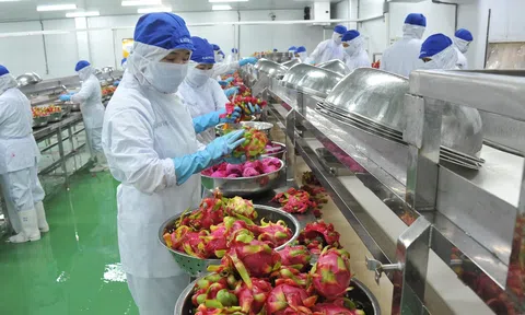 Thúc đẩy nông nghiệp xanh, nông nghiệp tuần hoàn đảm bảo chất lượng nông sản xuất khẩu