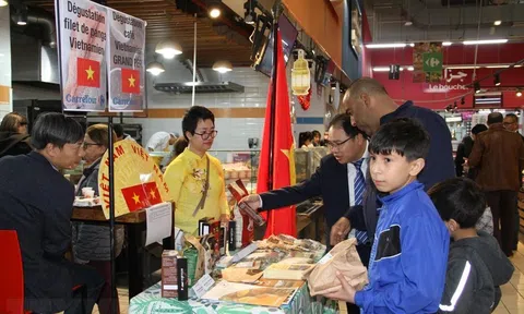 Cà phê của Việt Nam được ưa chuộng tại Algeria, có thêm triển vọng xuất khẩu