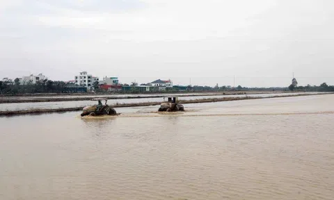 Hoàn thành 2 đợt xả nước với 2,78 tỷ m3 phục vụ cấy trên 492.900ha lúa Đông Xuân