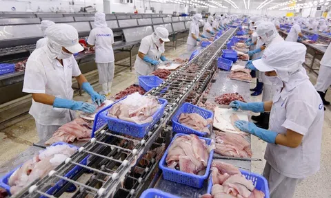 Bộ Tài chính giải đáp vướng mắc của doanh nghiệp thủy sản về thuế nguyên liệu đầu vào
