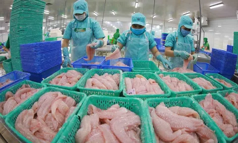 Hợp tác Việt Nam - Italy đưa nông sản chất lượng cao vươn tầm quốc tế