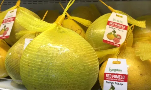 Những trái cây đặc sản có cơ hội tăng trưởng xuất khẩu tại thị trường Anh