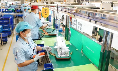 Khôi phục đà tăng trưởng doanh nghiệp từ môi trường kinh doanh và chuyển đổi xanh